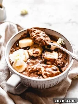 bowl of mocha oatmeal with spoon