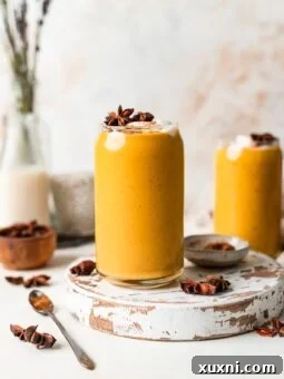 Healthy Vegan Pumpkin Pie Smoothie (Protein Packed, No Banana)