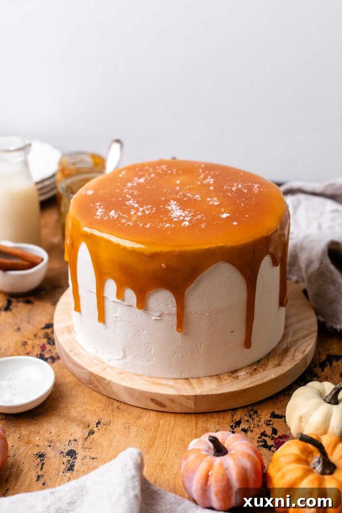 Decorated vegan pumpkin spice cake with elegant piping details and caramel drizzle, a festive fall dessert.