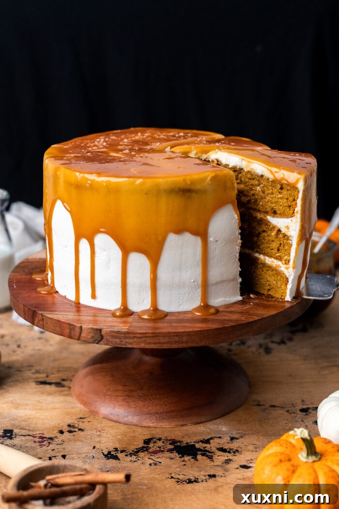 Overhead view of a sliced vegan pumpkin cake with a rustic, inviting presentation.