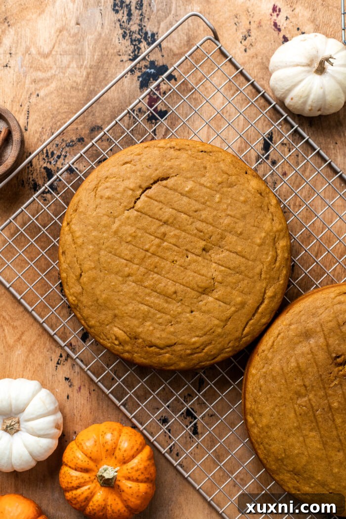Three cooled vegan pumpkin cake layers stacked on a cooling rack, ready for frosting.