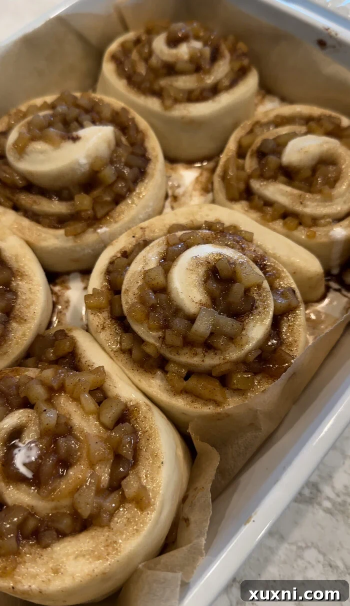 Shaped apple cinnamon rolls resting in a baking dish, before their second rise.