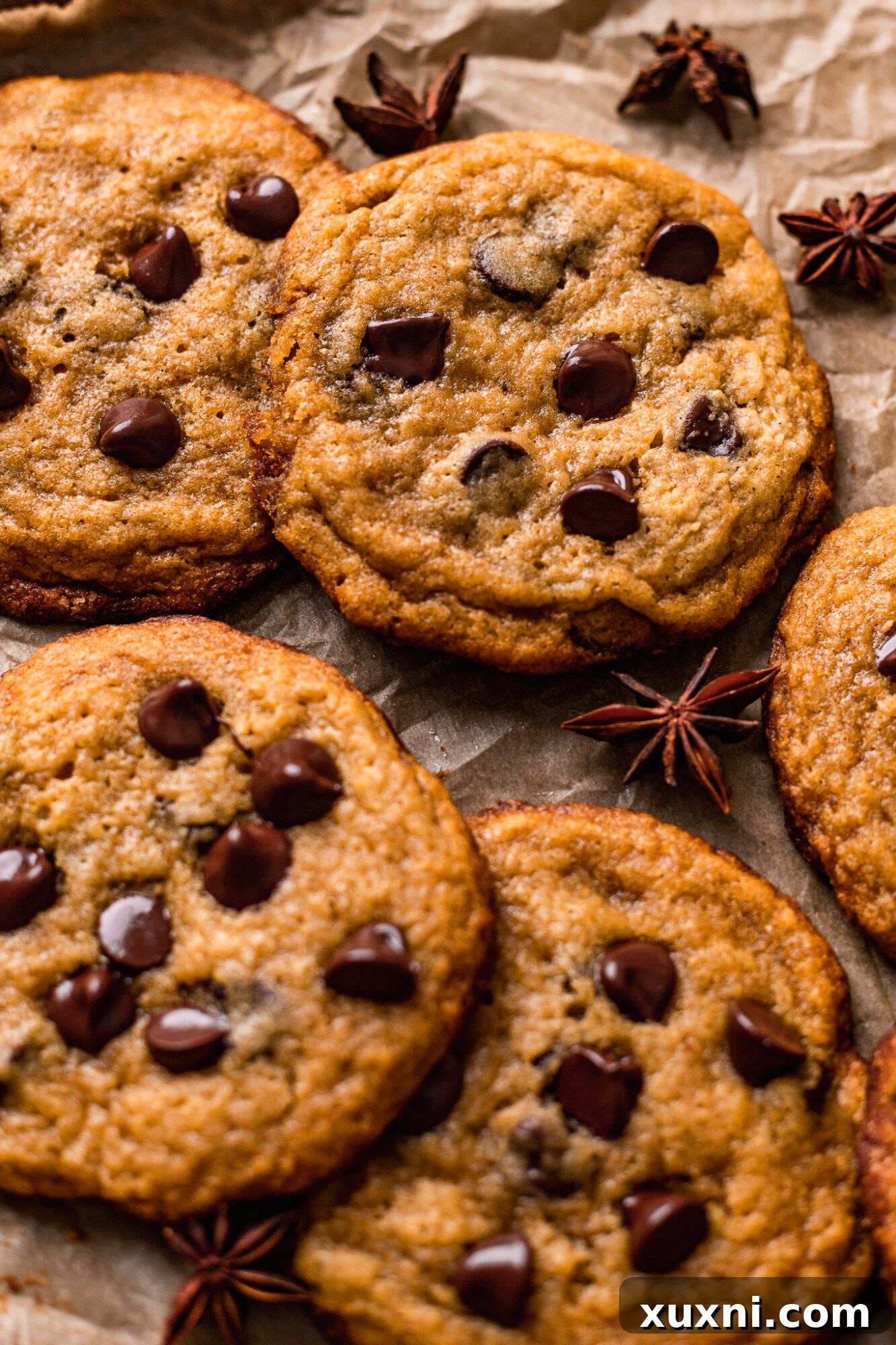 pumpkin chocolate chip cookies