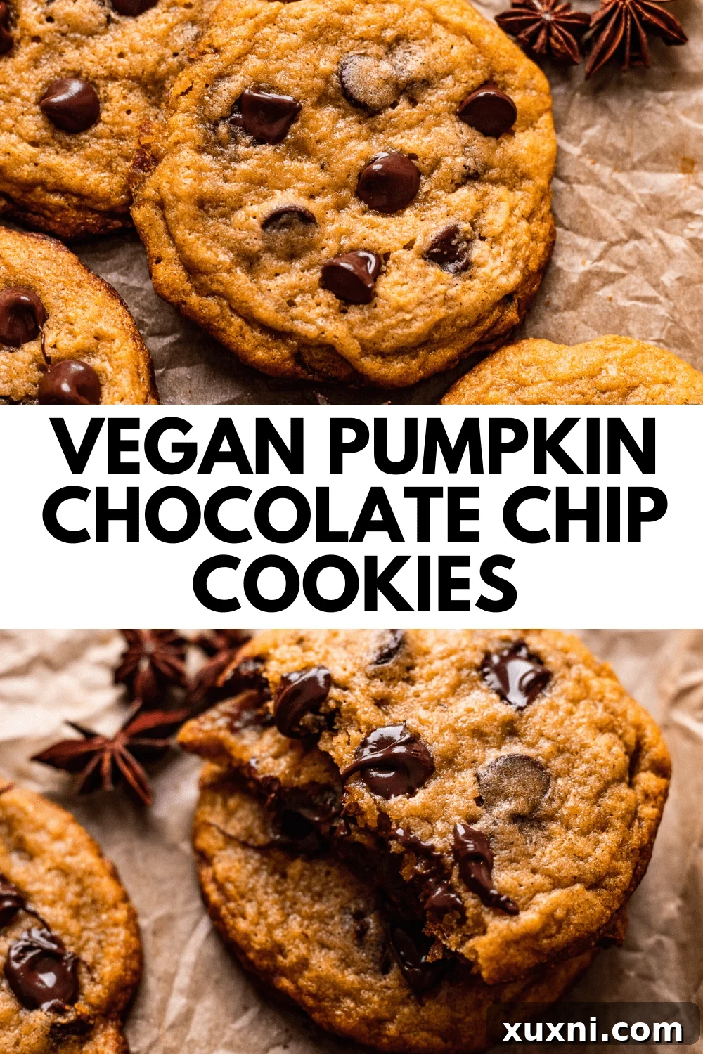 Vegan Pumpkin Chocolate Chip Cookies (Gluten Free!)