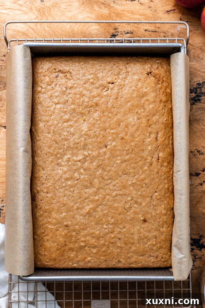 A perfectly baked vegan apple spice cake, golden brown and ready to be cooled and frosted.