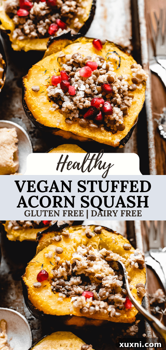 Plant-Powered Lentil Quinoa Stuffed Acorn Squash 8 Vegan Lentil and Quinoa Stuffed Acorn Squash Recipe Pinterest