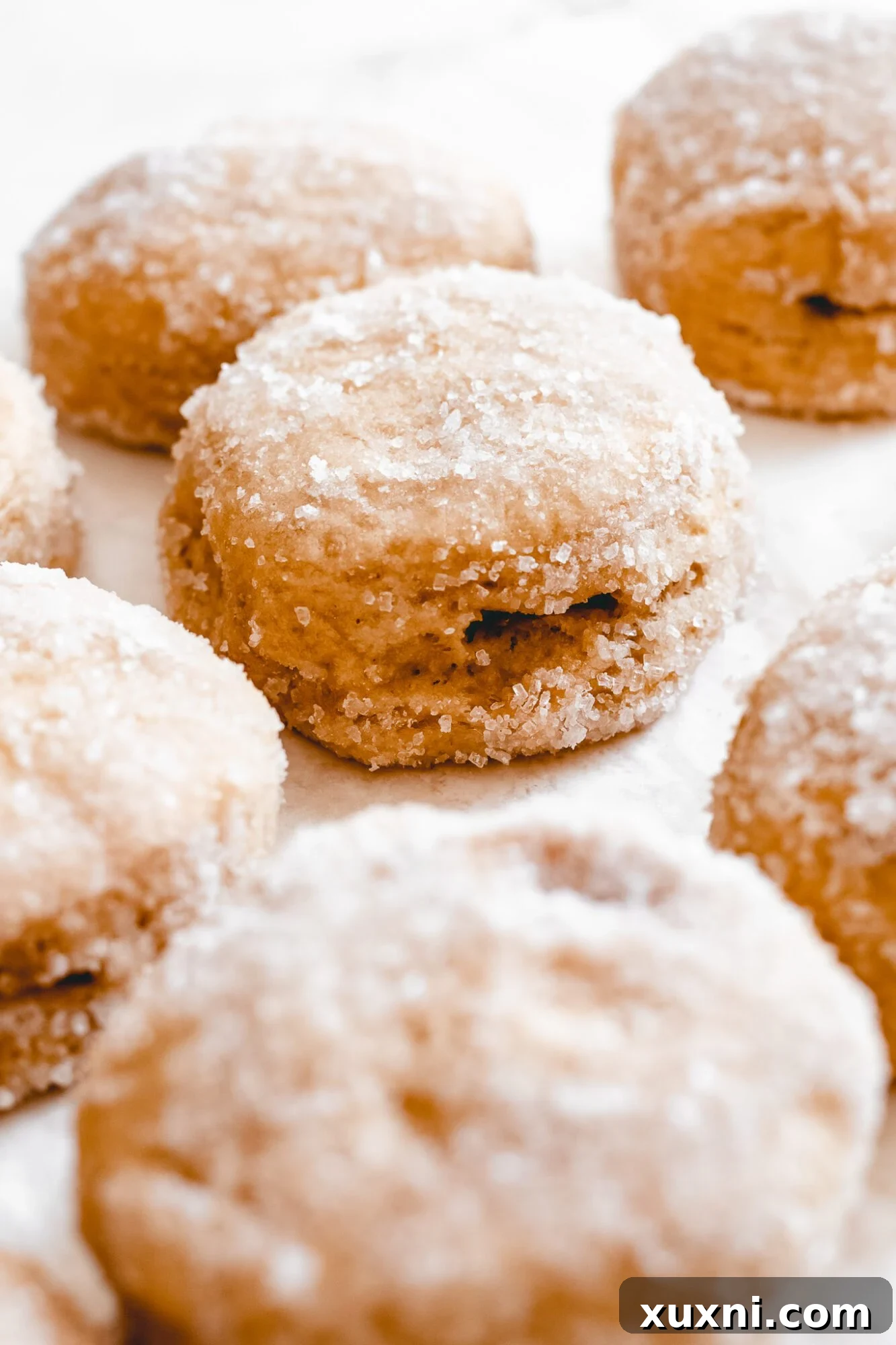 sugar coated vegan doughnuts