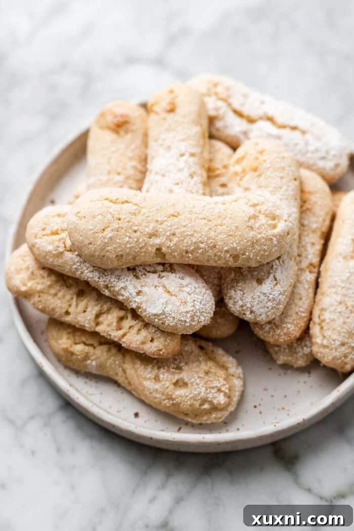 Dreamy Vegan Tiramisu No Cashews No Tofu 5 vegan ladyfingers on a plate