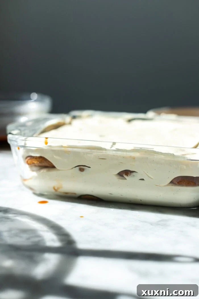 Dreamy Vegan Tiramisu No Cashews No Tofu 9 homemade tiramisu in a pan