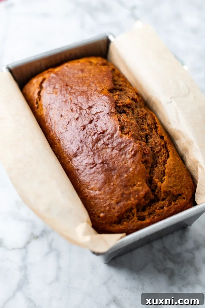 A freshly baked vegan gingerbread loaf cake, golden brown and perfectly risen, cooling in its metal tin on a wire rack, filling the kitchen with a warm, festive aroma.