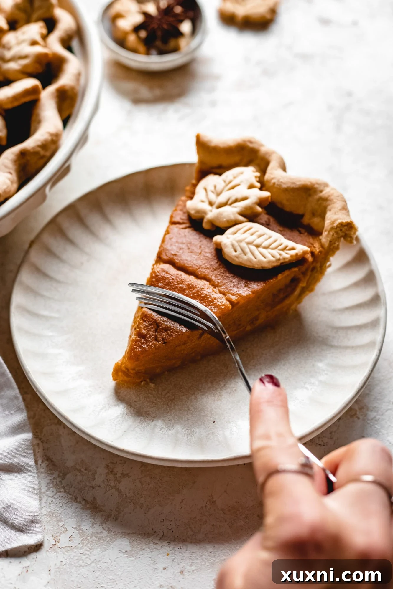A single slice of vegan butternut squash pie garnished with cinnamon, ready to be served.