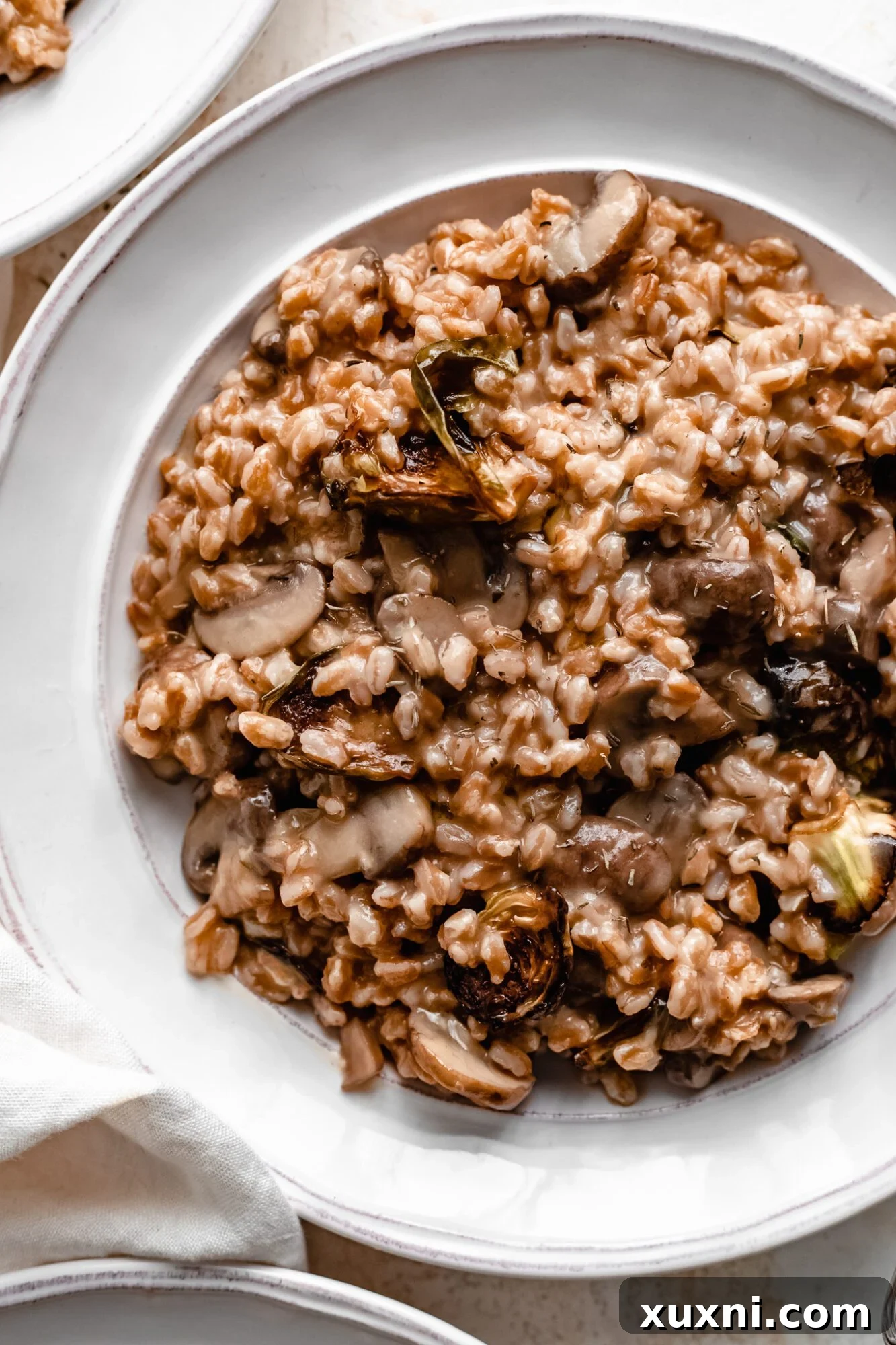 close up of vegan mushroom risotto