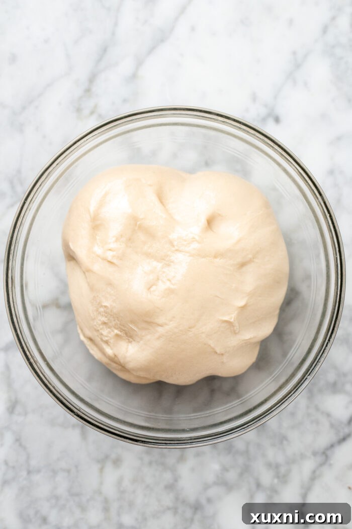 The Ultimate Easy Vegan Pull-Apart Bread 3 Freshly kneaded dough ball placed in a bowl, ready for proofing.