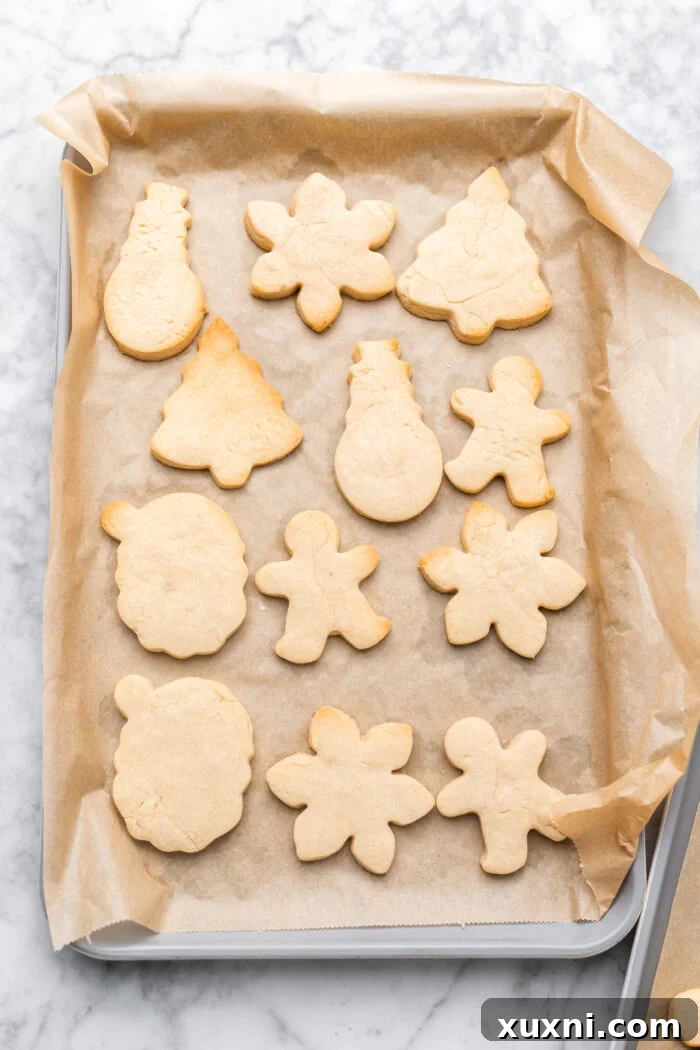 Freshly baked vegan sugar cookies, lightly golden at the edges, cooling on a tray.
