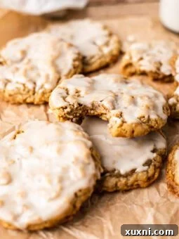 bitten vegan oatmeal cookie stacked on another cookie