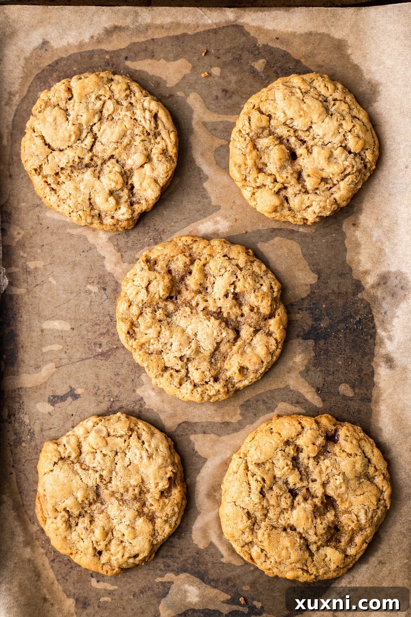 Freshly baked vegan oatmeal cookies cooling on a wire rack