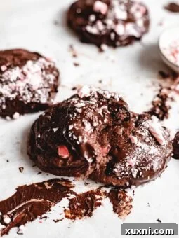 fudgy vegan cookies