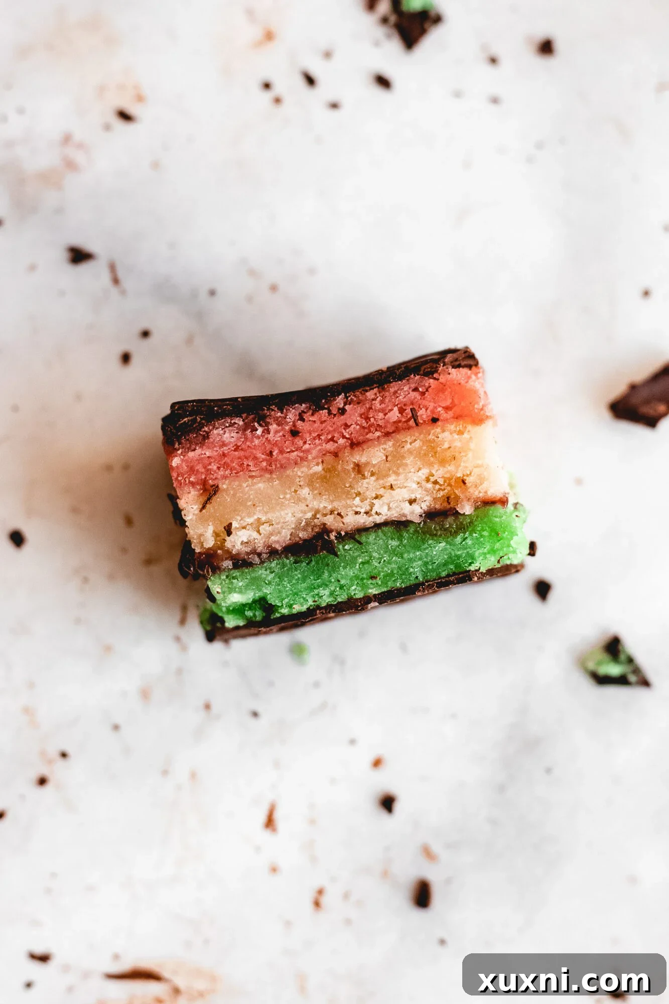 A single Italian rainbow cookie showing off its perfect layers and chocolate coating.