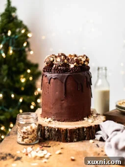 Amazing Vegan Chocolate Hazelnut Cake (Ferrero Rocher Cake!)