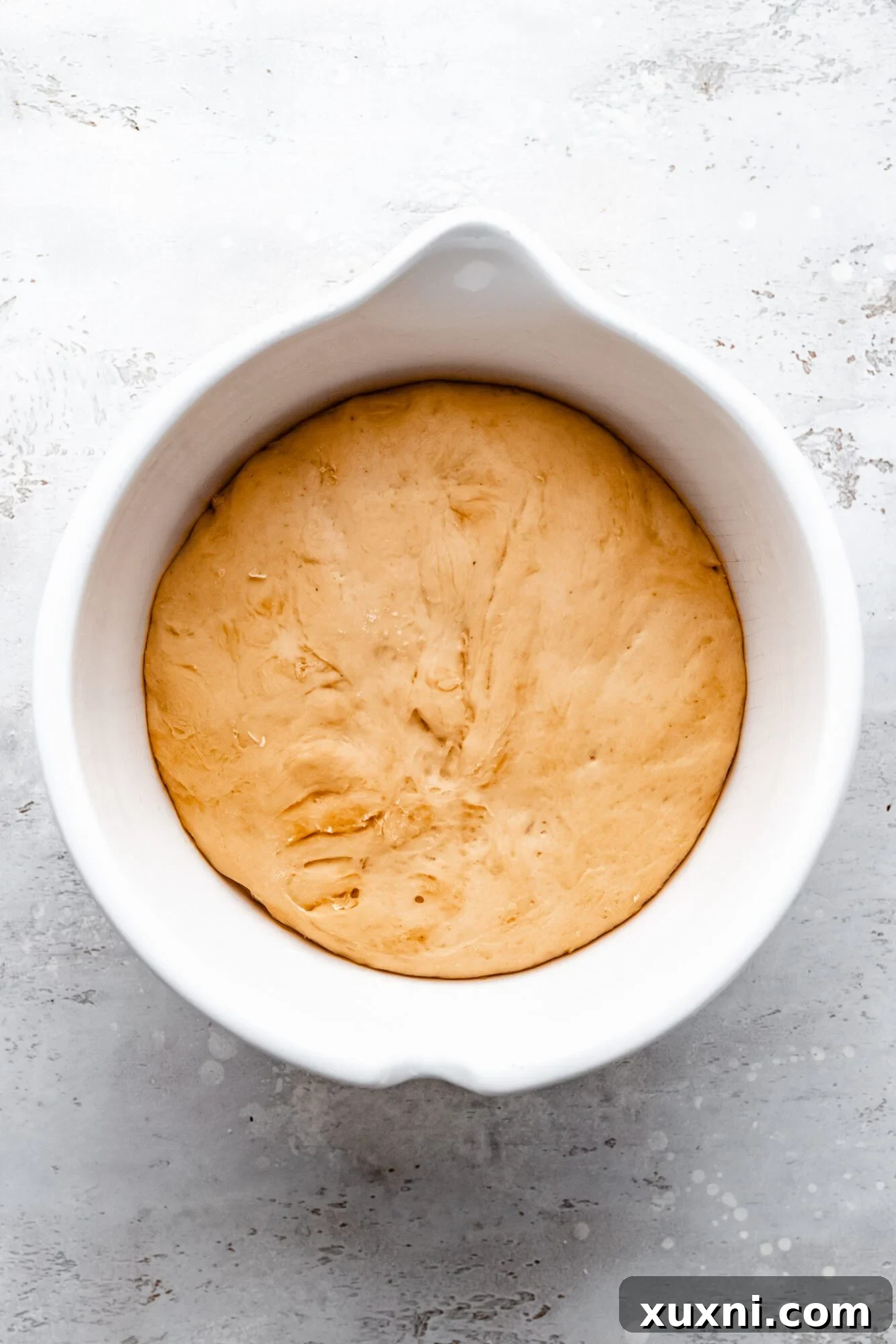 Fluffy dough after rising for vegan sweet bread
