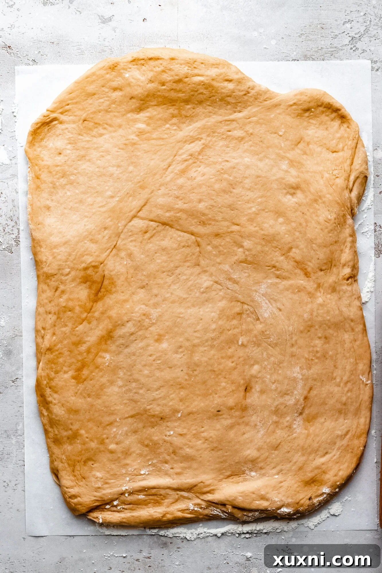 Dough rolled into a perfect rectangle