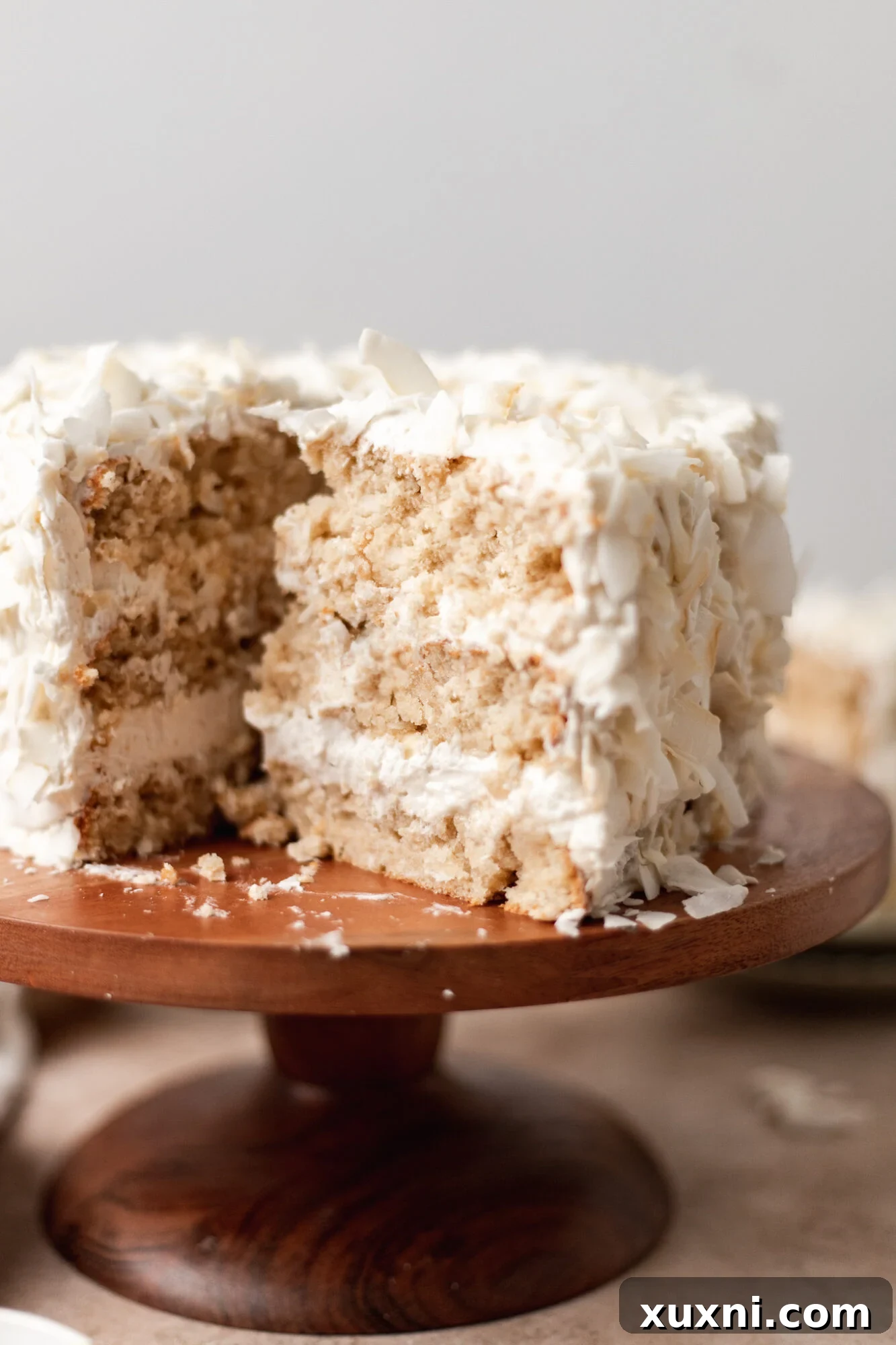 A delicious slice of vegan coconut cake, showing its moist layers and creamy frosting with toasted coconut.