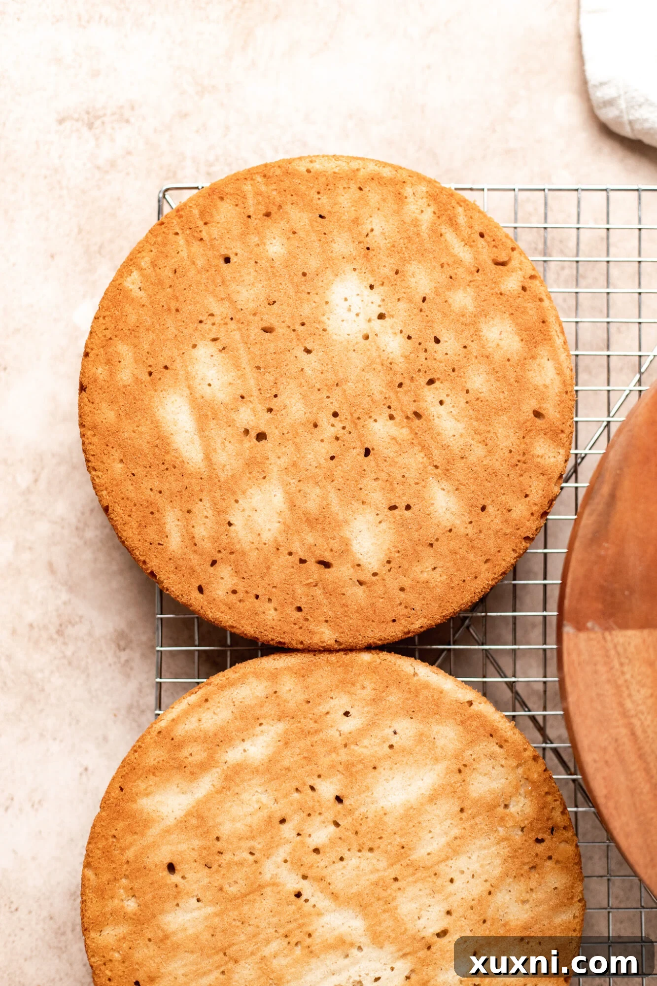 Golden-brown vegan coconut cake layers fresh out of the oven, perfectly baked.