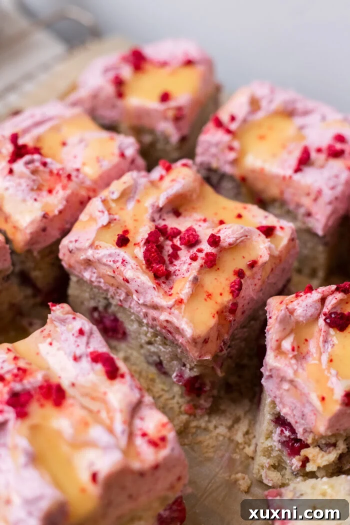 Zesty & Moist One-Bowl Vegan Raspberry Lemon Sheet Cake with Tangy Lemon Curd 3 A perfectly sliced vegan raspberry lemon cake showing its moist layers and the delightful contrast of pink frosting and yellow lemon curd.