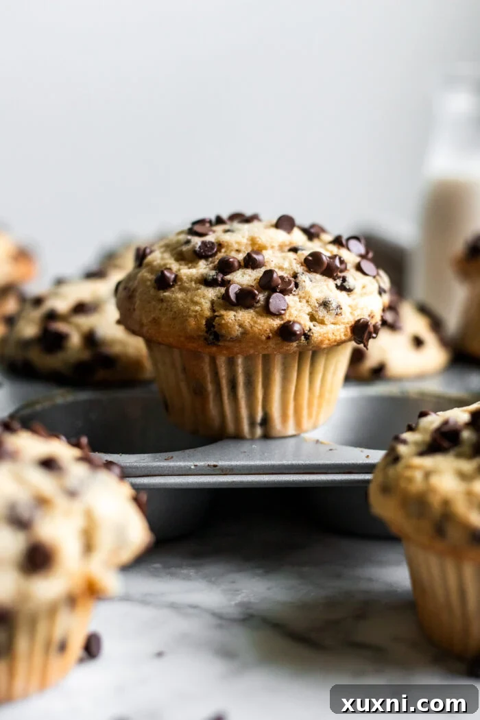 A freshly baked vegan chocolate chip muffin nestled in a muffin tin, waiting to be enjoyed.