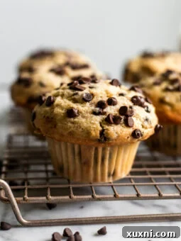 Vegan chocolate chip muffin on cooling rack