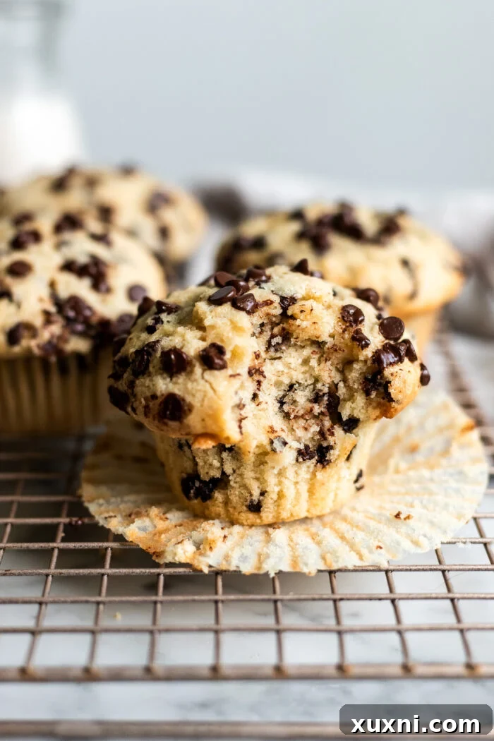 A vegan chocolate chip muffin, freshly baked, with a bite taken out to reveal its moist interior and melted chocolate chips.