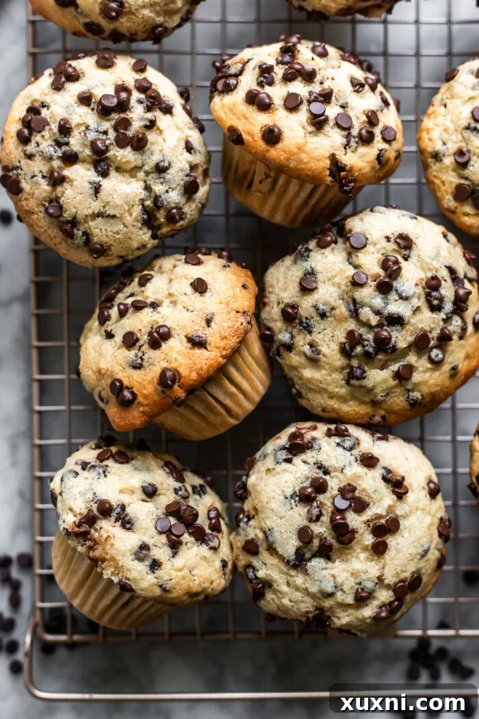 Freshly baked chocolate chip muffins cooling on a wire rack, glistening with melted chocolate and a sugary crust.