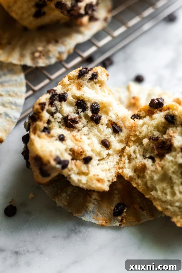 A perfectly ripped open vegan chocolate chip muffin, showcasing its incredibly moist interior, steam, and melty chocolate chips.