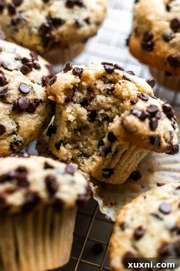A close-up of a warm, bitten vegan chocolate chip muffin, highlighting its soft texture, melted chocolate, and crunchy sugar topping.