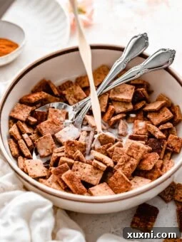 Homemade Cinnamon Toast Crunch (Vegan + Gluten Free!)
