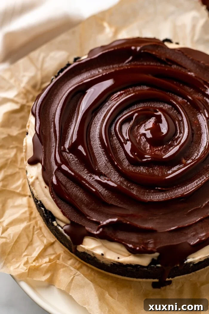 vegan chocolate ganache on cheesecake