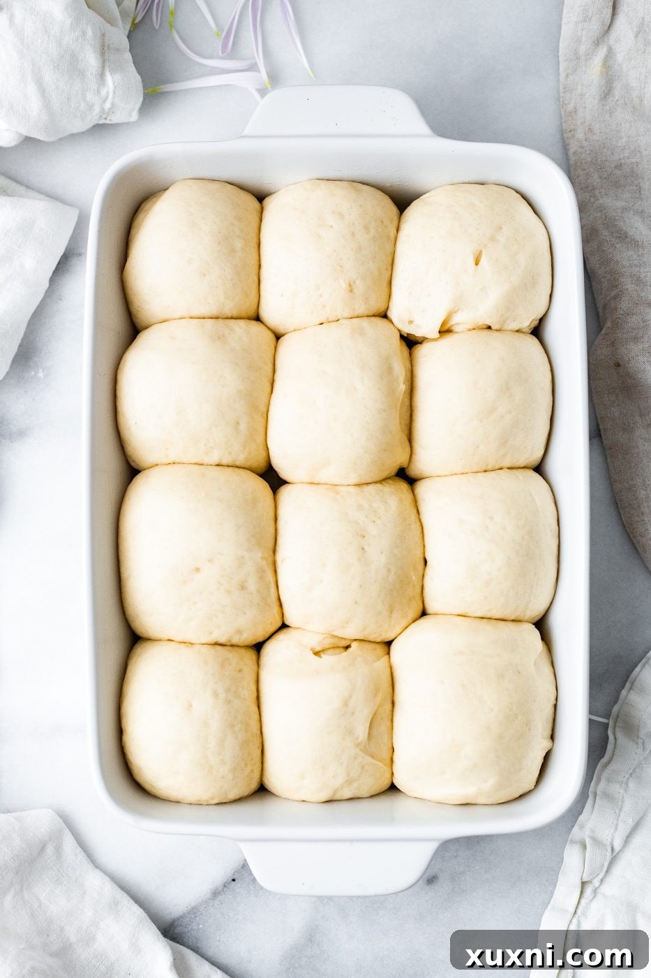 vegan dinner rolls after second rise, puffed up