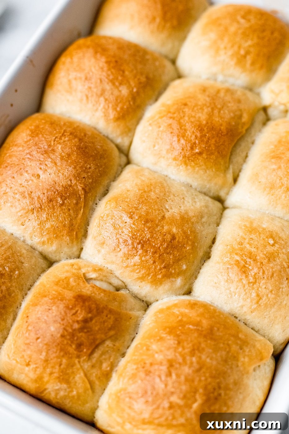 close up of baked vegan dinner rolls