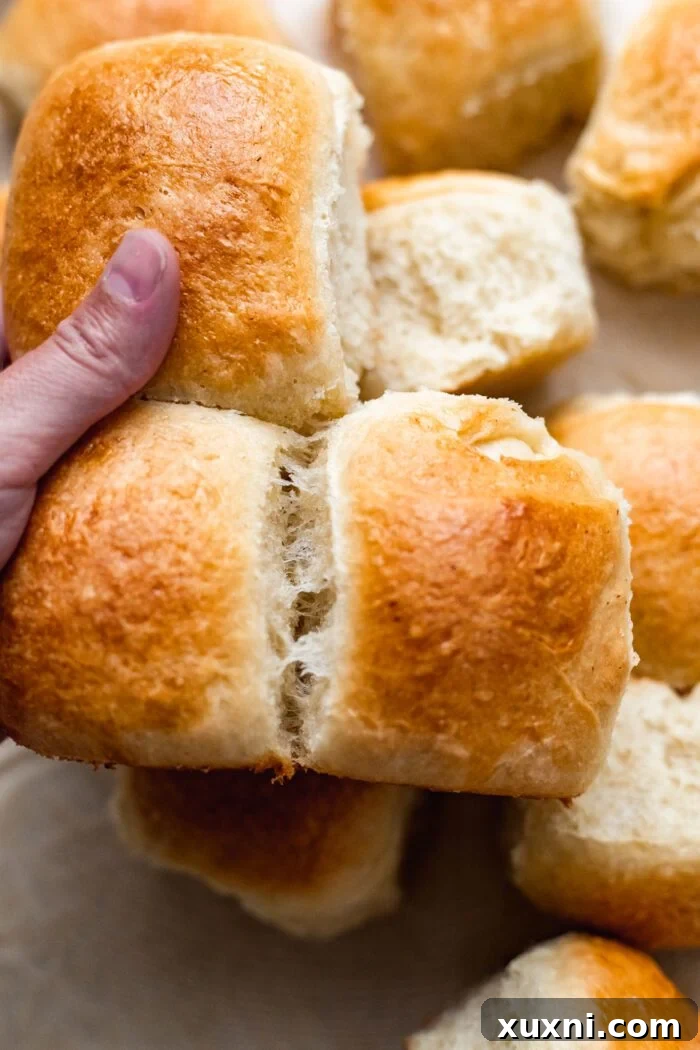 pulling apart a warm vegan dinner roll