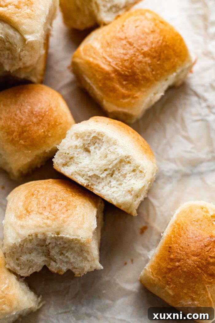 freshly baked vegan dinner rolls on parchment paper
