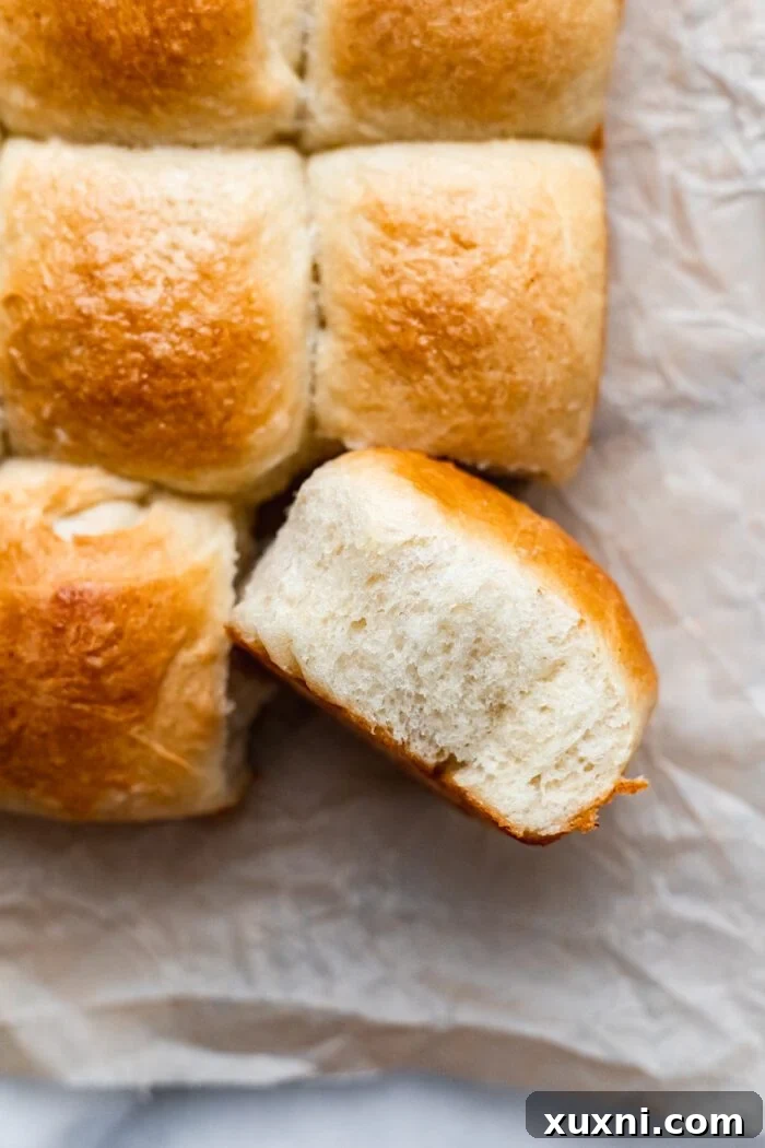 golden baked vegan dinner rolls on parchment paper