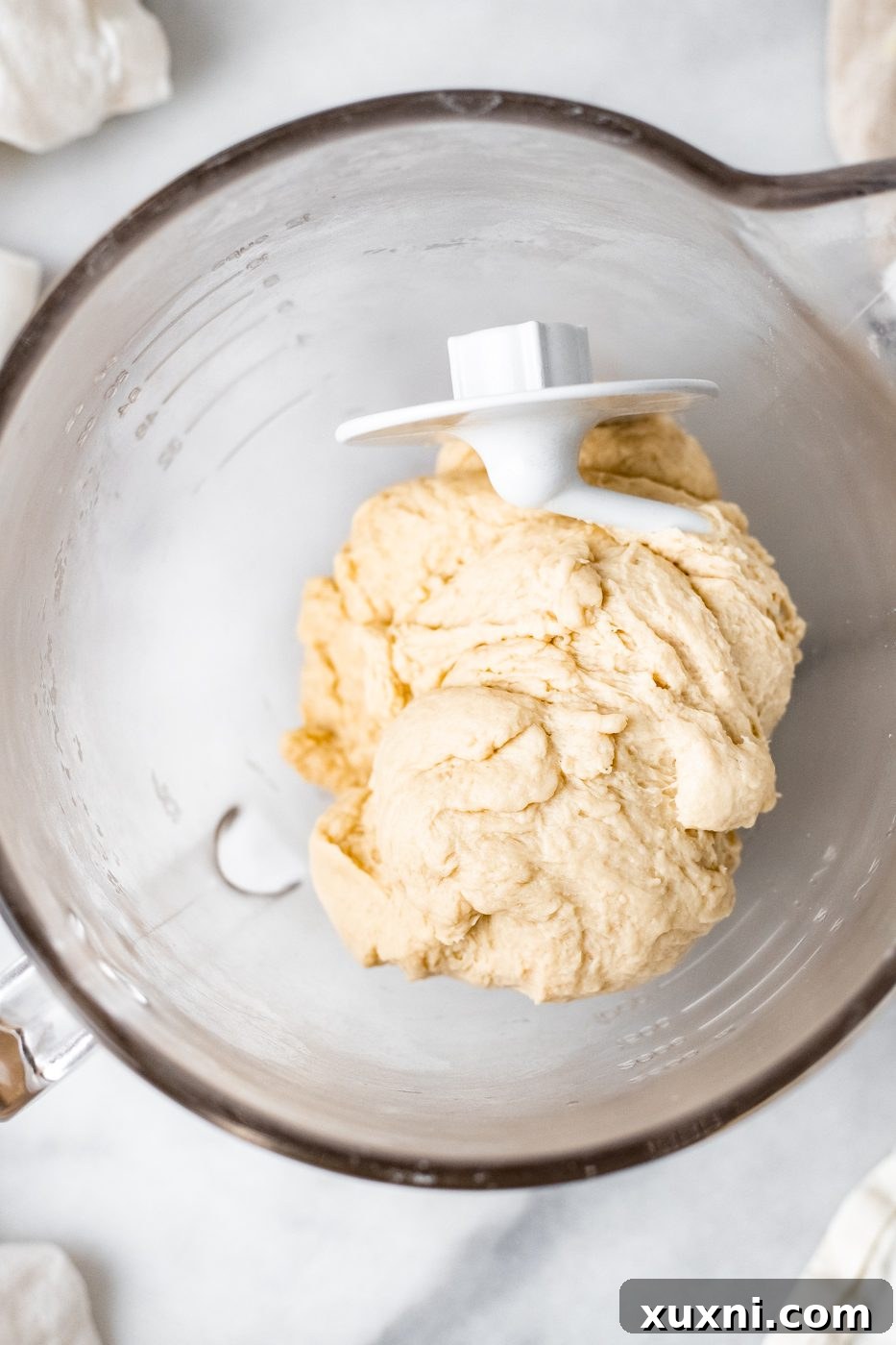 vegan dinner rolls dough after kneading with vegan butter