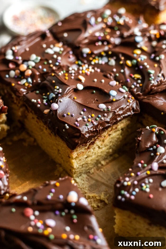 Sliced vegan birthday cake with chocolate frosting and sprinkles