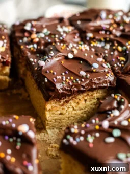 Sliced vegan birthday cake with chocolate frosting and sprinkles