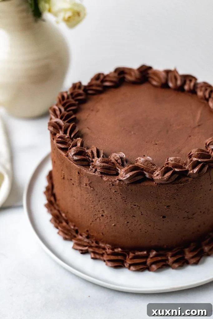 Effortless 4-Ingredient Vegan Chocolate Frosting 6 vegan chocolate buttercream on a cake