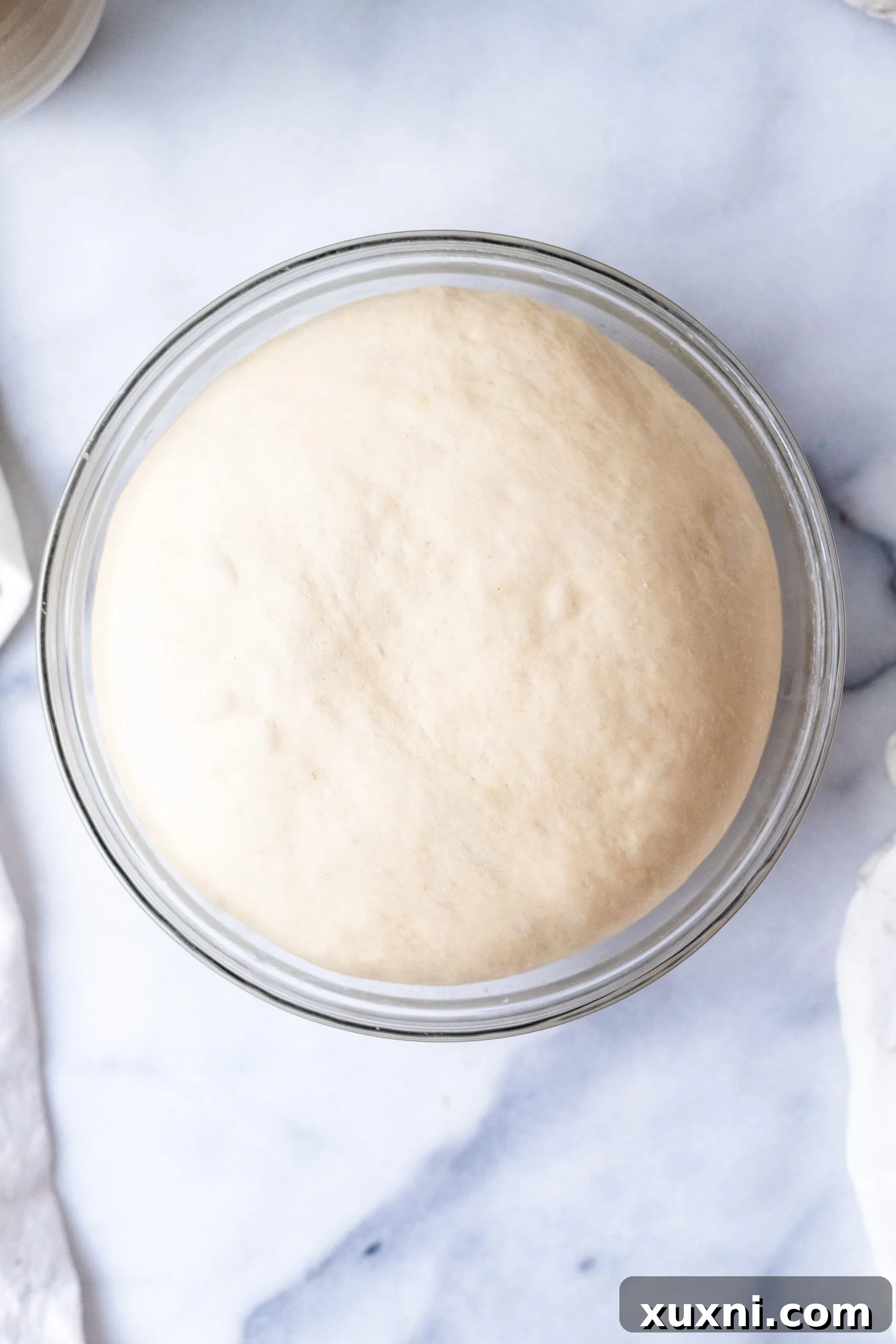 Vegan Pane di Pasqua dough after its first rise, significantly expanded and airy in the bowl.
