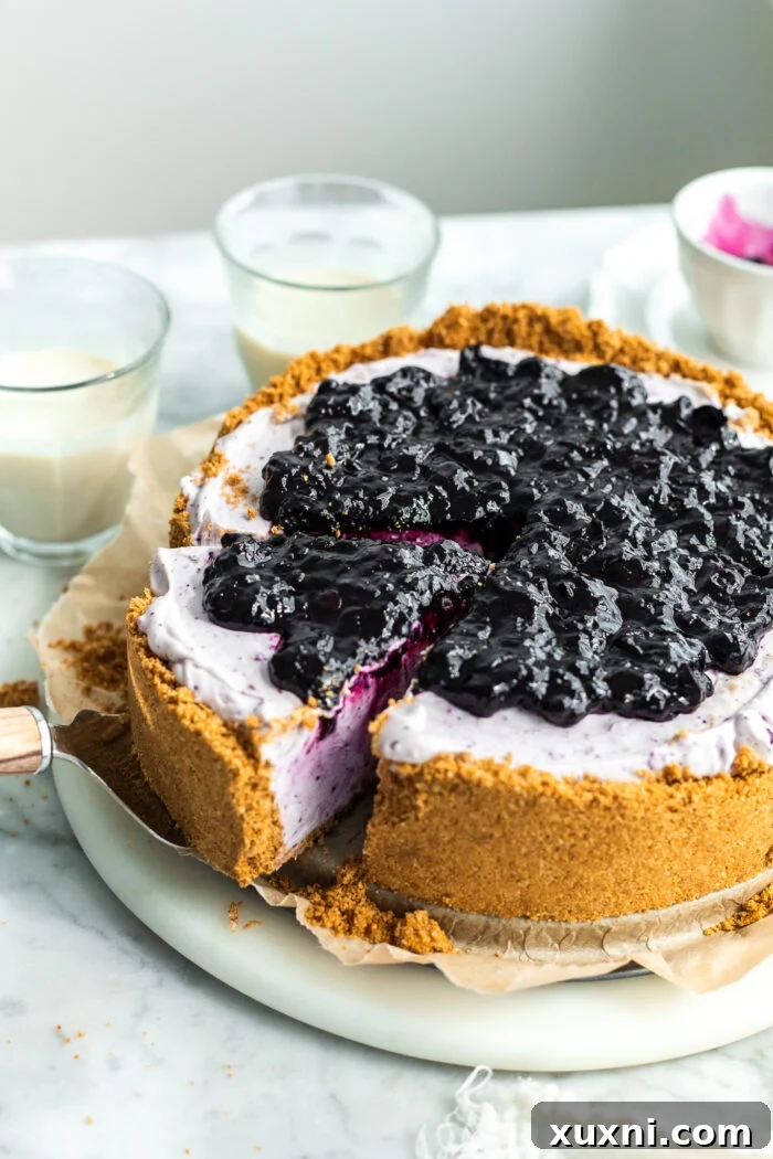 A close-up of a single slice of vegan no-bake blueberry cheesecake, garnished with fresh blueberries and lime wedges.