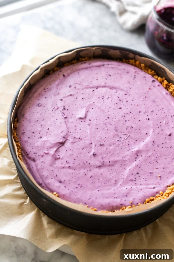 A fully frozen vegan blueberry cheesecake, ready to be removed from its springform pan.