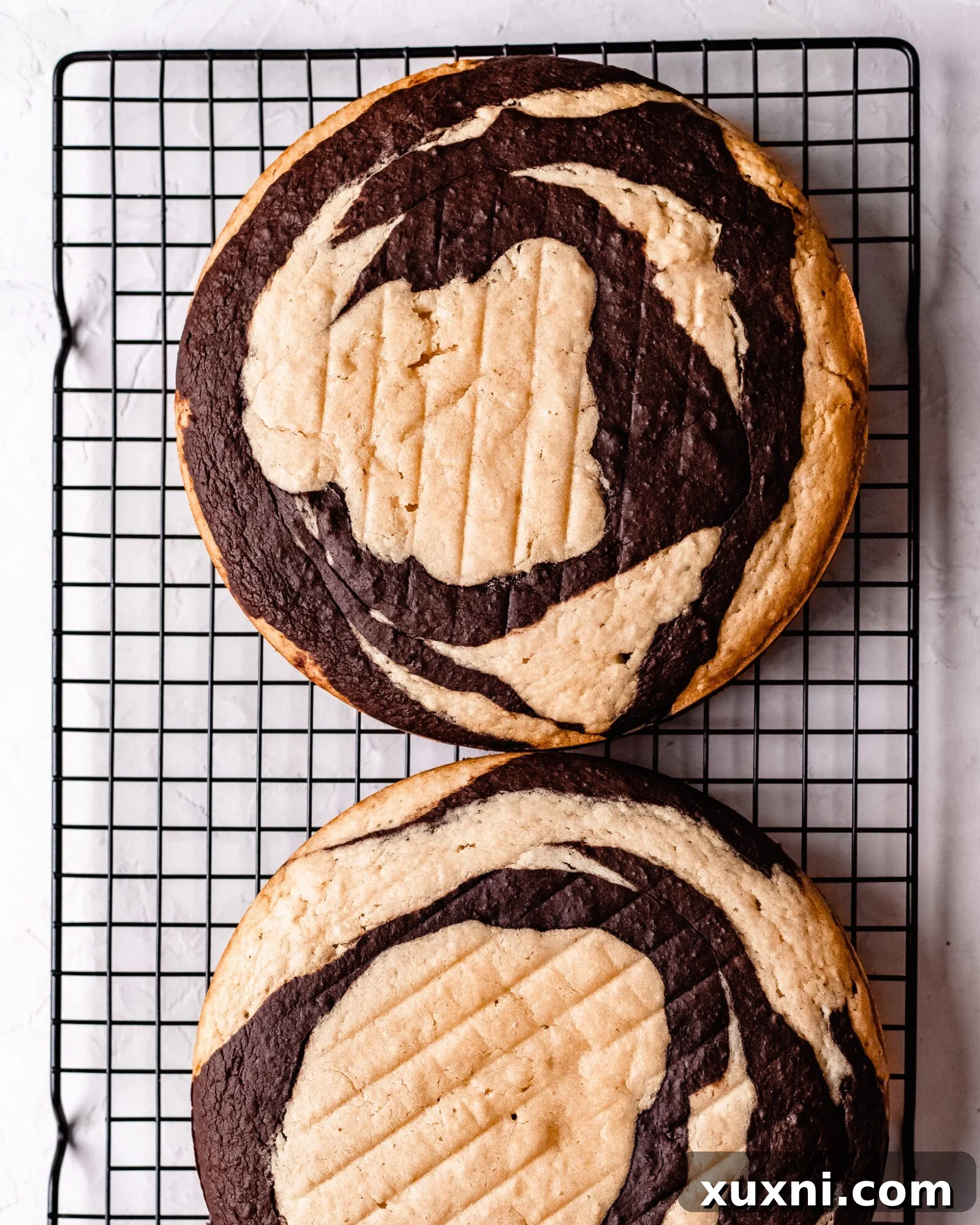 Freshly baked vegan zebra cake layers, ready for cooling and frosting.