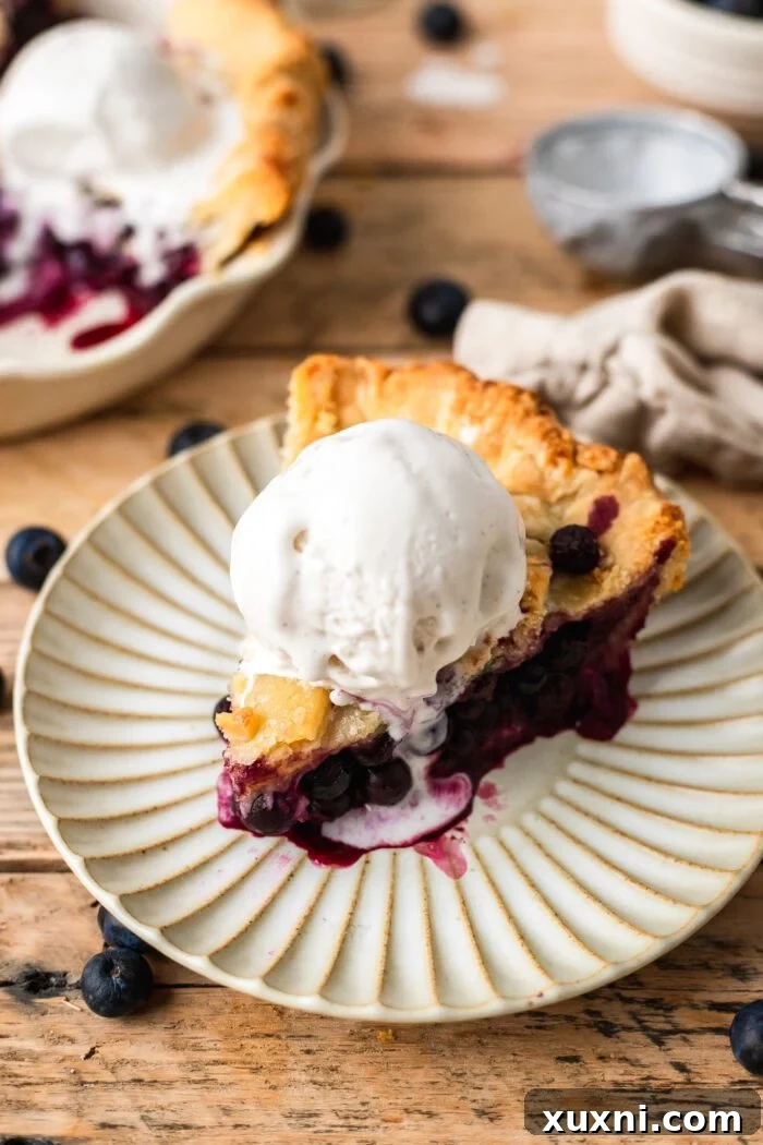 slice of vegan blueberry pie on a plate with vegan ice cream